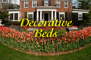 Decorative Beds photo